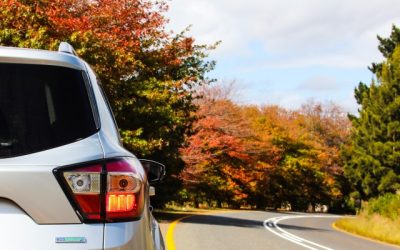 Ontdek de charme van een roadtrip door Nederlandse steden